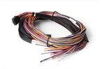 HALTECH Platinum PRO/Sport GM Plug-in Auxiliary I/O Harness Length: 2.5m (8')