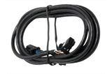 HALTECH CAN Cable 8 pin Black Tyco to 8 pin Black Tyco Length: 75mm (3")