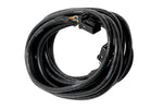 HALTECH CAN Cable 8 pin Black Tyco to 8 pin Black Tyco Length: 75mm (3")