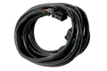 HALTECH CAN Cable 8 pin Black Tyco to 8 pin Black Tyco Length: 300mm (12")