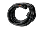 HALTECH CAN Cable 8 pin Black Tyco to 8 pin Black Tyco Length: 600mm (24")