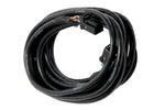 HALTECH CAN Cable 8 pin Black Tyco to 8 pin Black Tyco Length: 2400mm (92")