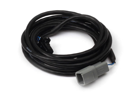 HALTECH Tyco CAN Dash adaptor cable. Female Deutsch DTM-2 to 8 pin Black Tyco Length: 2.4m (96")