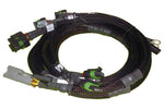 HALTECH V8 GM/Chrysler Hemi Small/Big Block 8 x Individual High Output IGN-1A Inductive Coil Harness