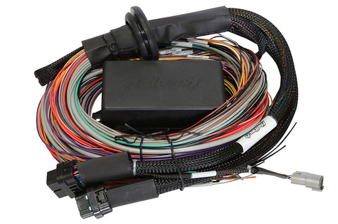 HALTECH Elite 1500 Premium Universal Wire-in Harness Length: 2.5m (8')