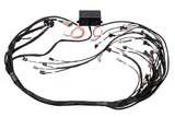 HALTECH Elite 2000/2500 GM GEN III LS1 & LS6 non DBW Terminated Harness