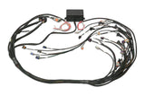 HALTECH Elite 2000/2500 GM GEN III LS1 & LS6 non DBW Terminated Harness