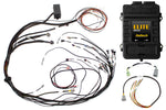 HALTECH Elite 1500 + Mazda 13B S4/5 CAS with Flying Lead Ignition Terminated Harness Kit Injector Connector: Bosch EV1