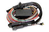 HALTECH Elite 2500 + Premium Universal Wire-in Harness Kit Length: 2.5m (8')