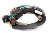 HALTECH Elite 2500 T + Basic Universal Wire-in Harness Kit Length: 2.5m (8')