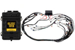 HALTECH Elite 2500 T + GM GEN IV LSx (LS2/LS3 etc) DBW Ready Terminated Harness Kit Injector Connector: Bosch EV1