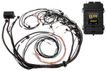 HALTECH Elite 2500 + Terminated Harness Kit For Ford Falcon BA/BF Barra 4.0L I6 Injector Connector: Factory Bosch EV1