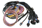 HALTECH NEXUS R5 + Universal Wire-in Harness Kit Length: 2.5m (8')