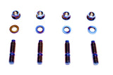 PLM Titanium Turbo to Manifold Stud Kit M10 x 1.5mm