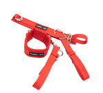 SFI ARM RESTRAINTS